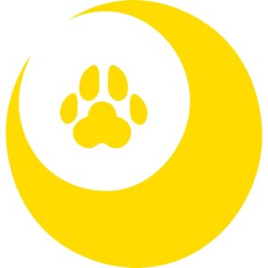 MOON FURSUIT Customized Services